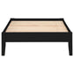 Hounslow Full Universal Platform Bed Black