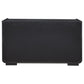 Leandro 2-drawer Dining Sideboard Server Burnished Black