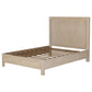 Solano 55-inch Queen Panel Bed Weathered Mango
