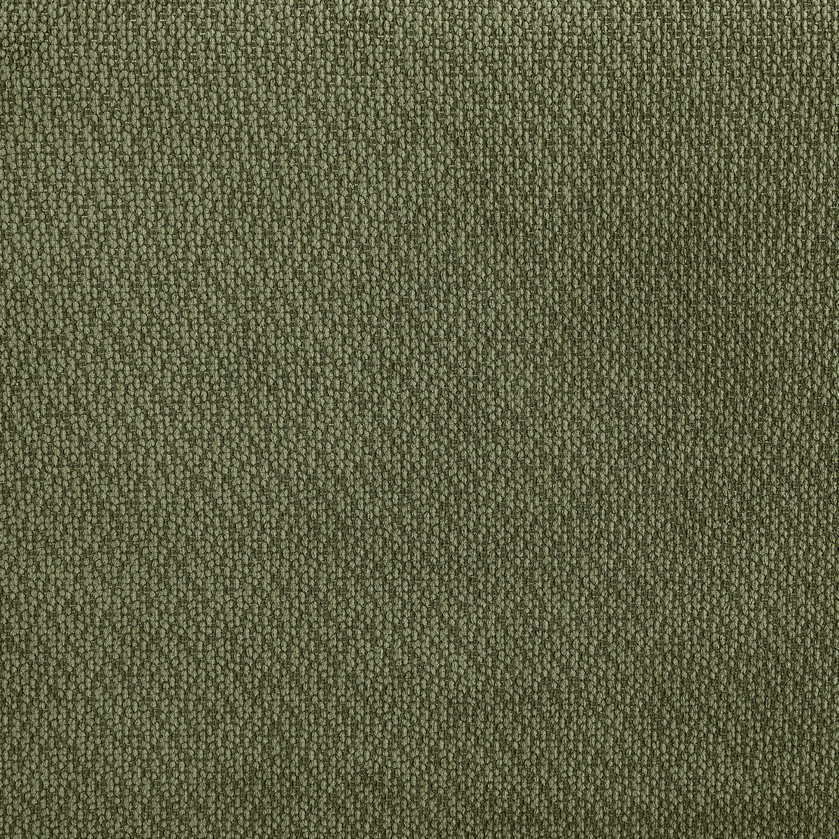 Elysia 5-piece Fabric Upholstered Modular Sectional Sofa Green