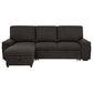 Demko Sleeper Sectional Sofa with Speaker and Storage Chaise Brown