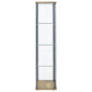 Bellatrix 3-shelf Clear Glass Curio Cabinet Mango
