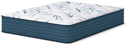 Limited Edition Plush 3.0  Mattress