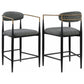 Tina Metal Counter Height Bar Stool with Upholstered Back and Seat Dark Grey (Set of 2)