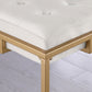 Nadia Square Padded Seat Counter Height Stool (Set of 2) Beige and Gold