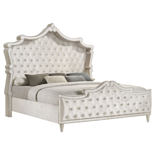 Antonella Upholstered Eastern King Panel Bed Ivory and Camel