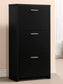 Vivian 3-drawer Shoe Cabinet Black